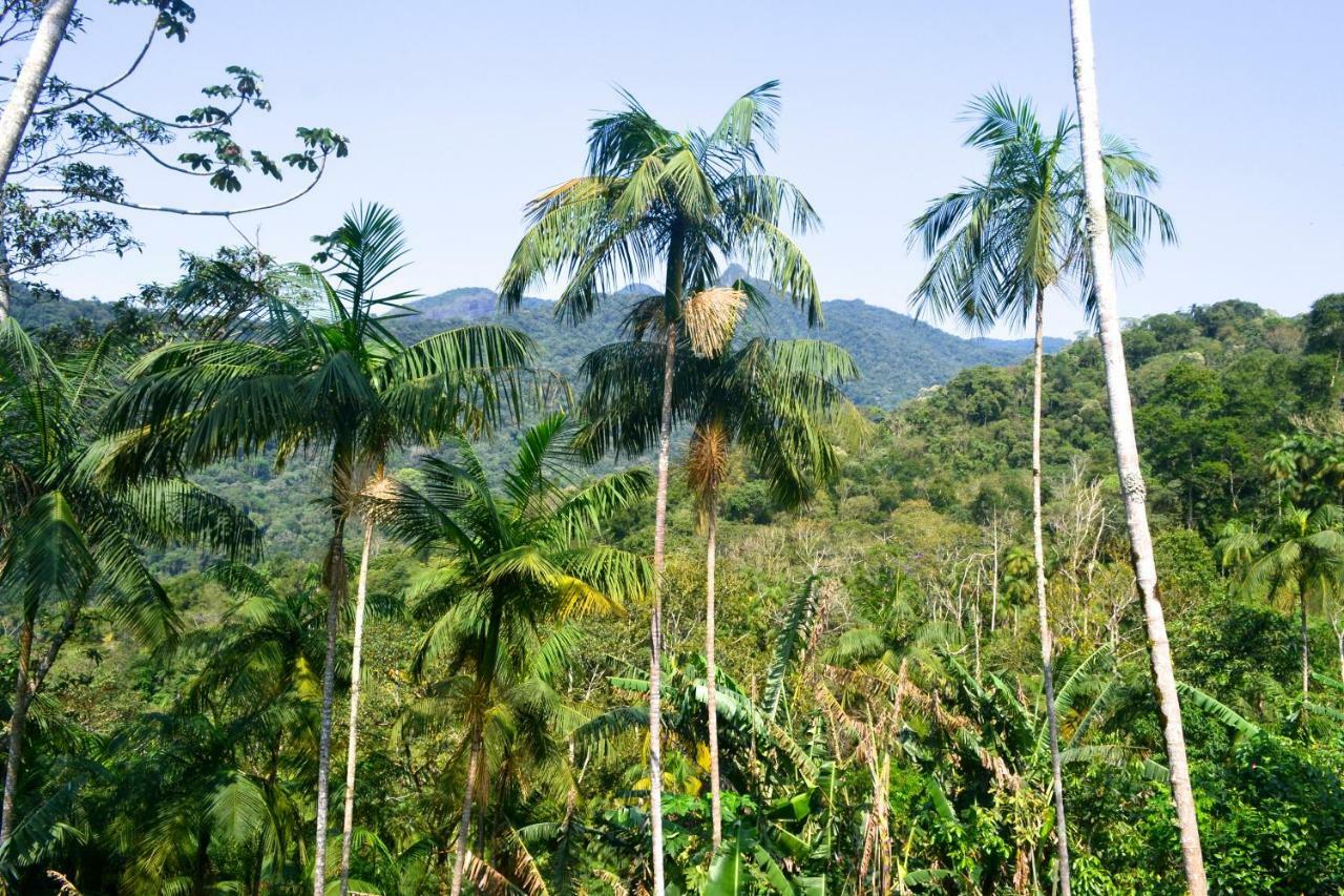 Casa Da Floresta Pico Da Aguia Araquari Dış mekan fotoğraf